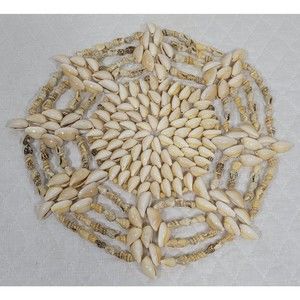 Vintage Sea Shell Trivet Doily Beach Ocean Décor Neutral Boho Nautical 9.5 Inch